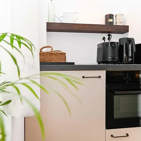 3m Vintage By Renters 소포트