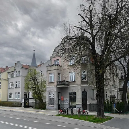 3m Vintage By Renters 소포트